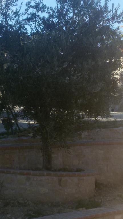 Villalta Farm stay *